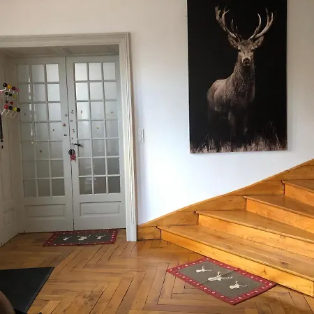 Castel Mt Spacieuse Luchon Vue Montagnes Pyrenees Villa