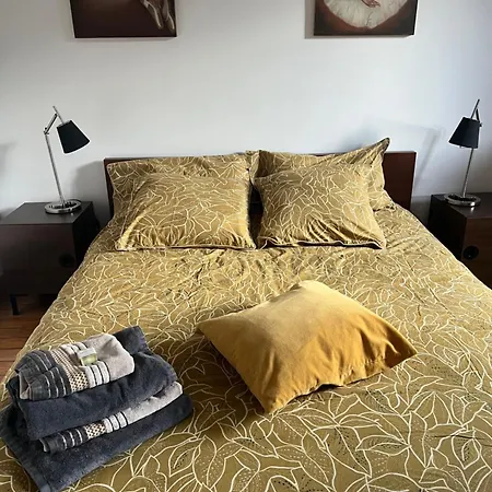 Castel Mt Spacieuse Luchon Vue Montagnes Pyrenees