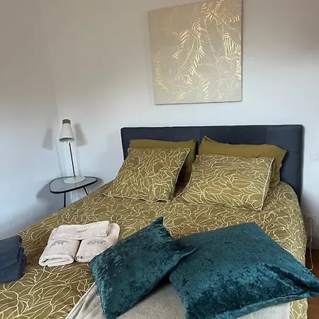Castelmt Location Luchon Montagnes Pyrenees *