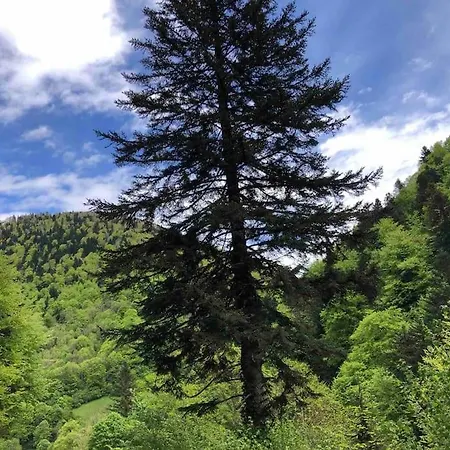 Castel Mt Spacieuse Luchon Vue Montagnes Pyrenees Villa