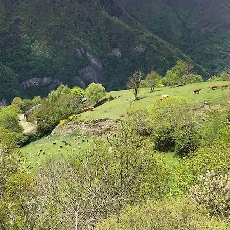 Villa Castel Mt Spacieuse Luchon Vue Montagnes Pyrenees Bagneres-de-Luchon